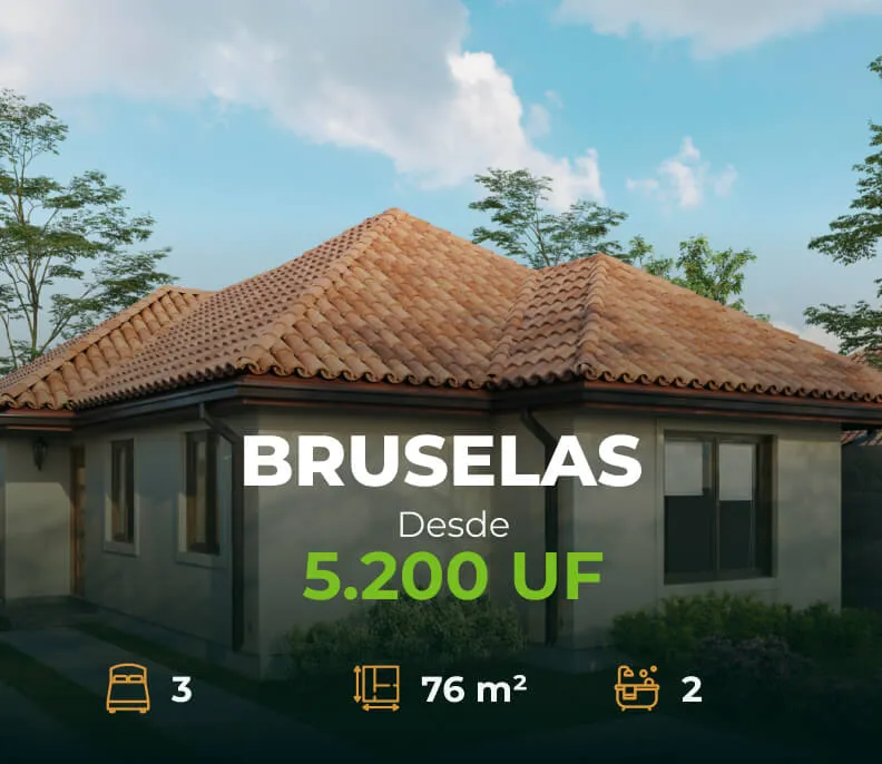 Modelo Bruselas