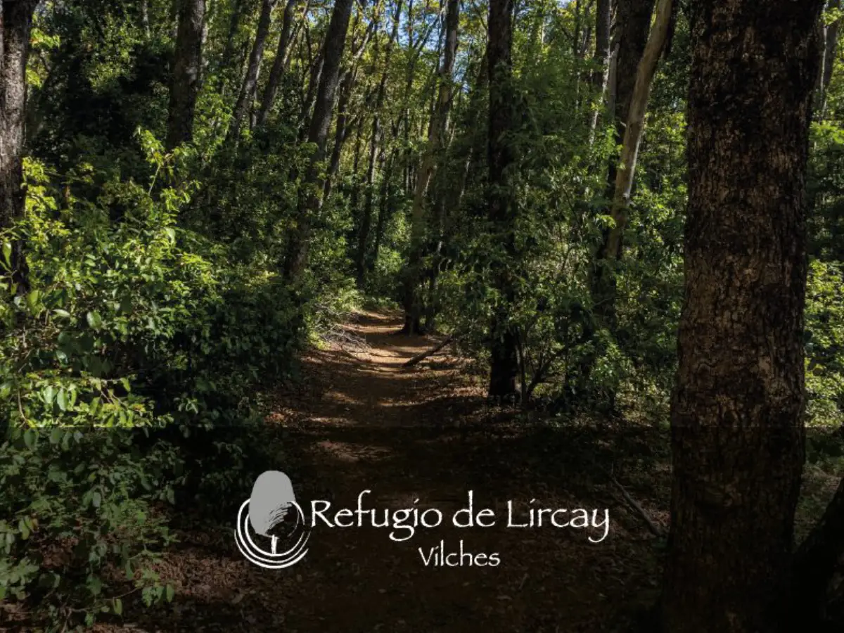 Refugio de Lircay