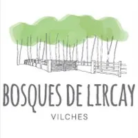 logo lircay
