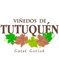logo vinedos SC