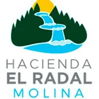 molina logo nuevo SC