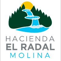 molina logo nuevo