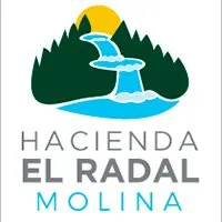 molina logo nuevo