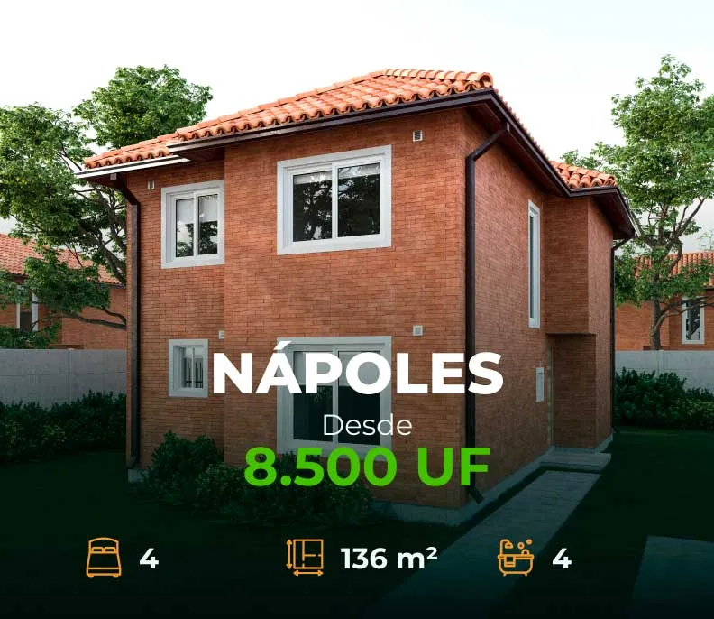 napoles modelo