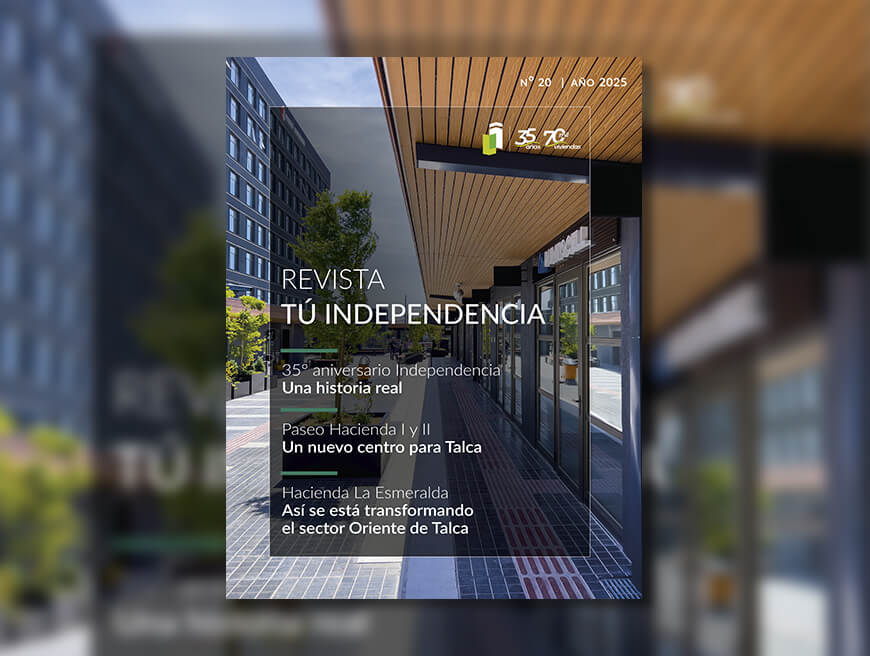revista 2025 1