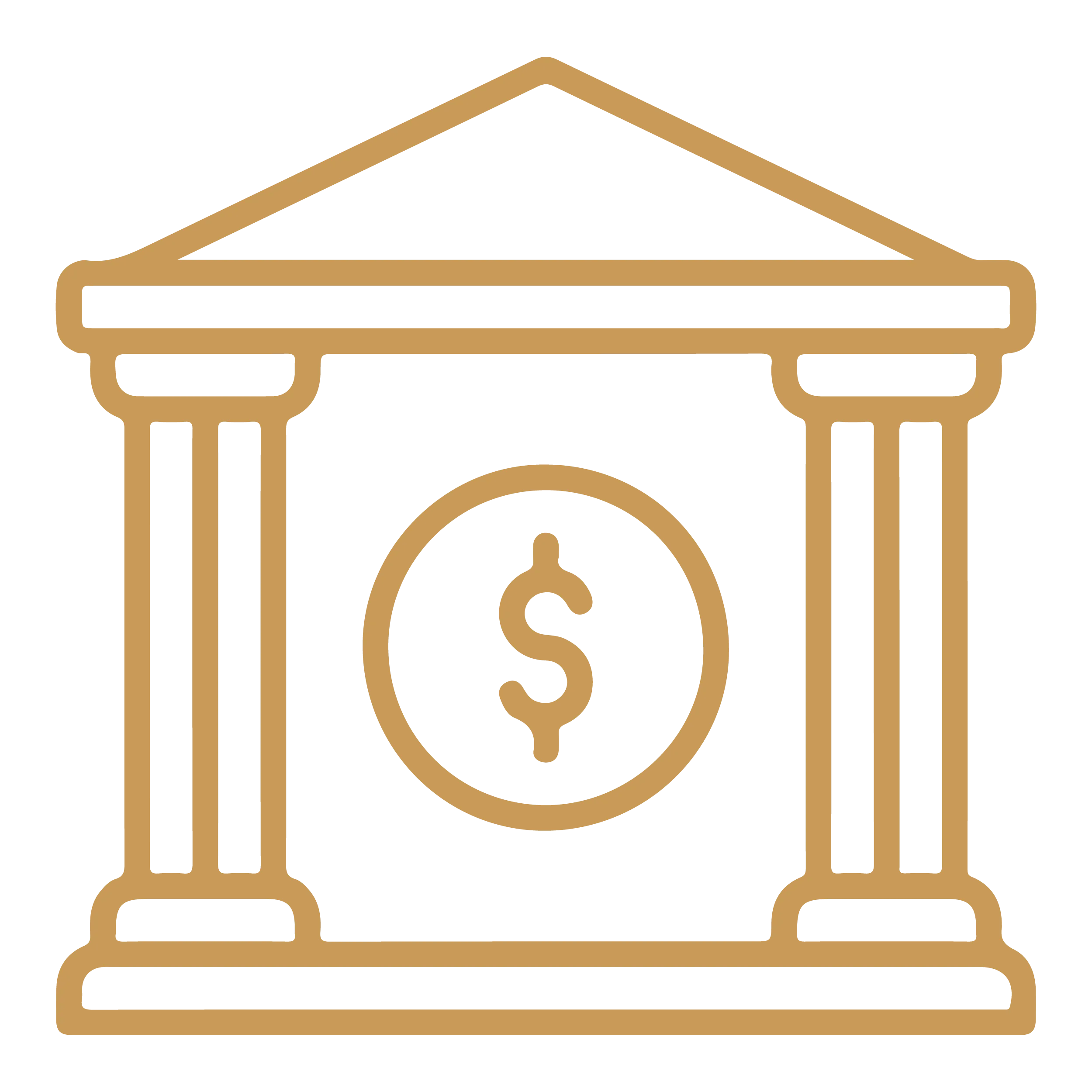 vector credito financiamiento